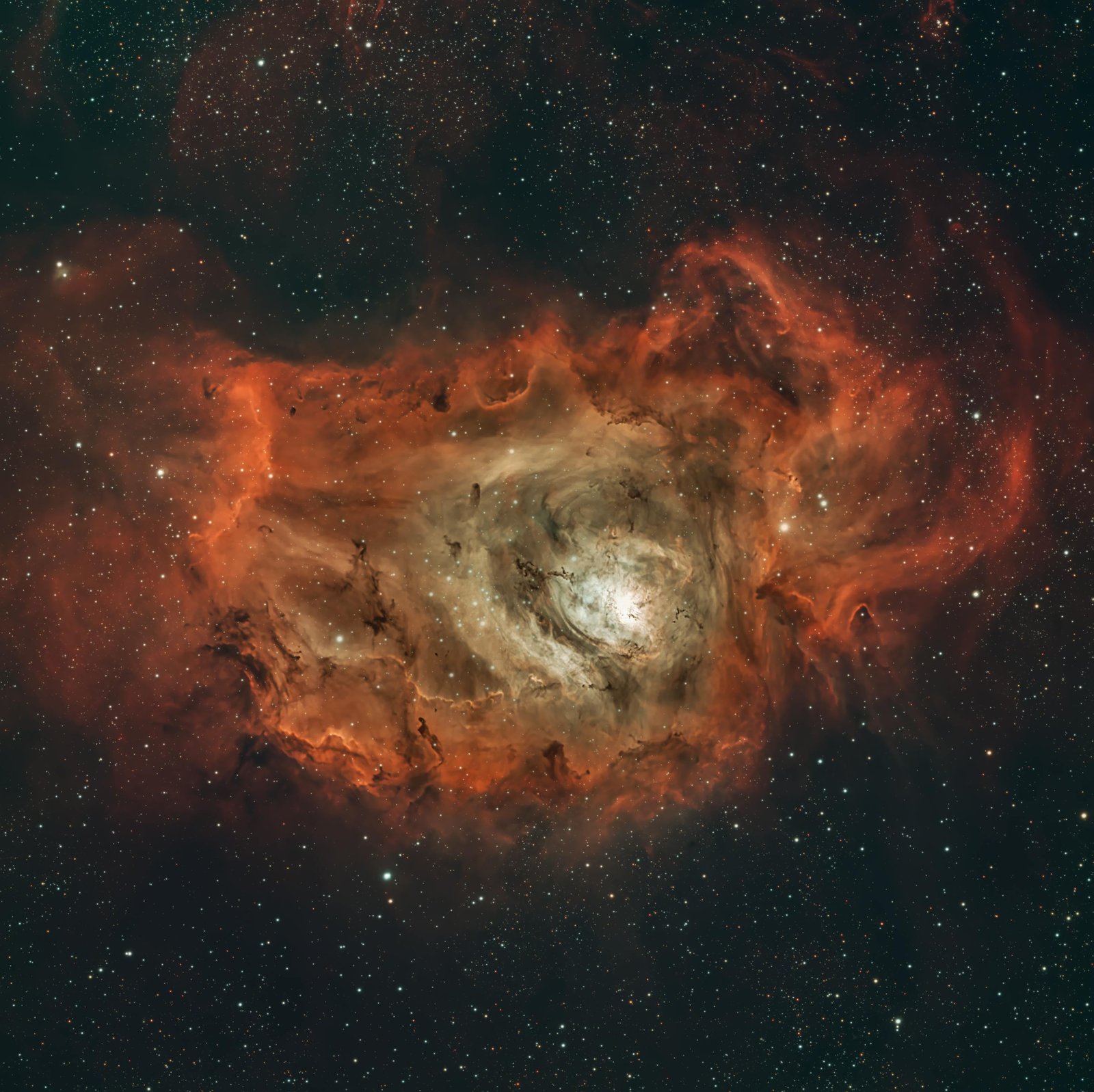 8+ Years of Experience